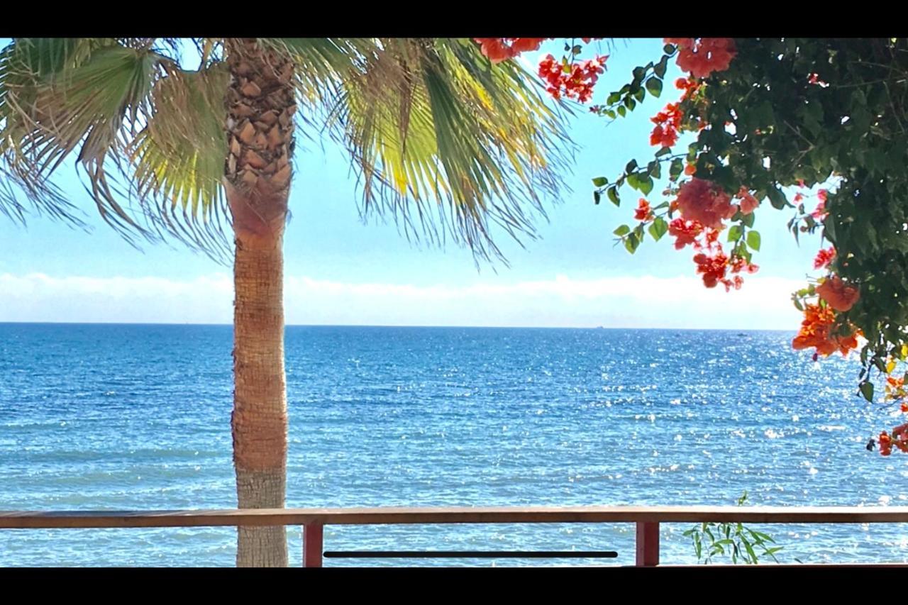 Apartament Mi Capricho Beachfront- P300 - With Sea View *