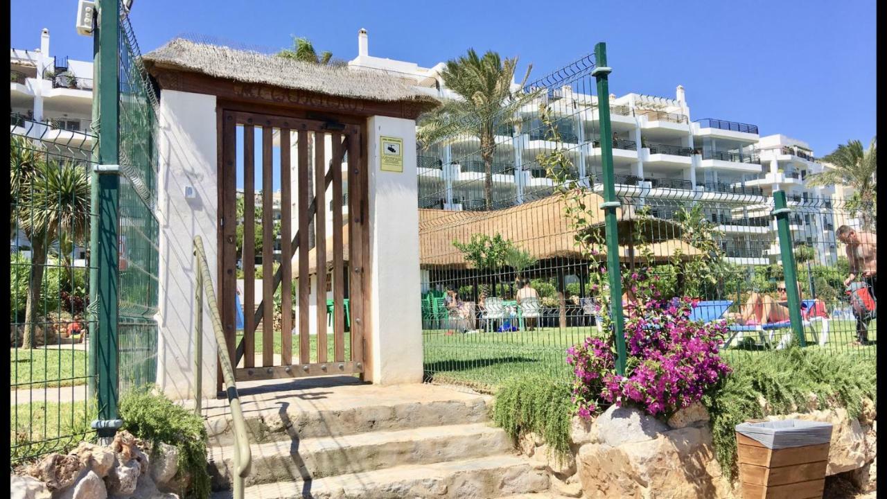 Apartment Mi Capricho Beachfront- P300 - With Sea View *
